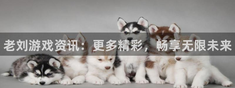 辉达娱乐网页登录入口官网：老刘游戏资讯：更多精彩，畅享无限未