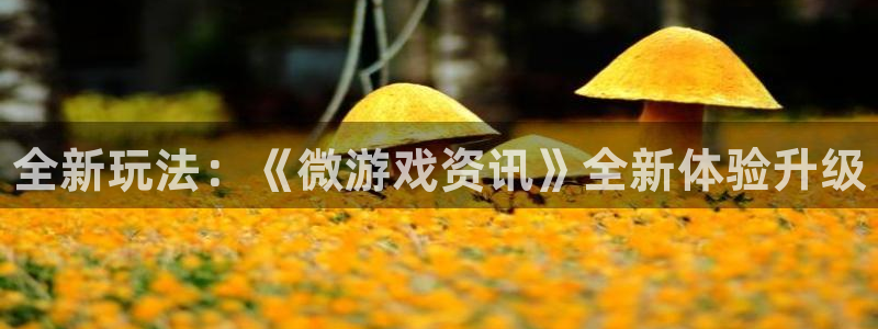 辉达娱乐线路测试：全新玩法：《微游戏资讯》全新体验升级