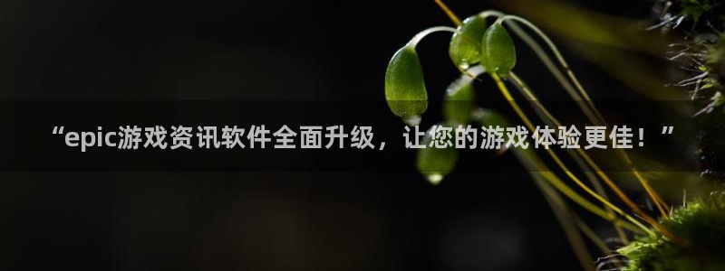 辉达娱乐注册官方登录app：“epic游戏资讯软件全面升级，
