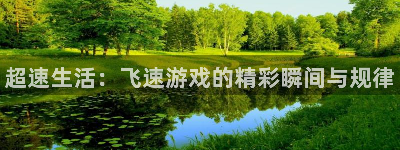 辉达娱乐注册测速：超速生活：飞速游戏的精彩瞬间与规律