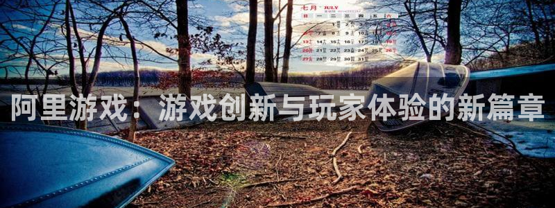辉达娱乐怎么注册：阿里游戏：游戏创新与玩家体验的新篇章