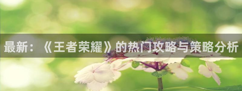 辉达娱乐集团：最新：《王者荣耀》的热门攻略与策略分析