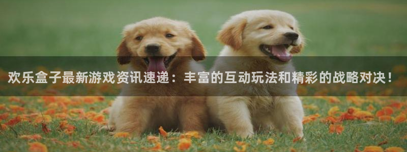 辉达娱乐官网登录：欢乐盒子最新游戏资讯速递：丰富的互动玩法和